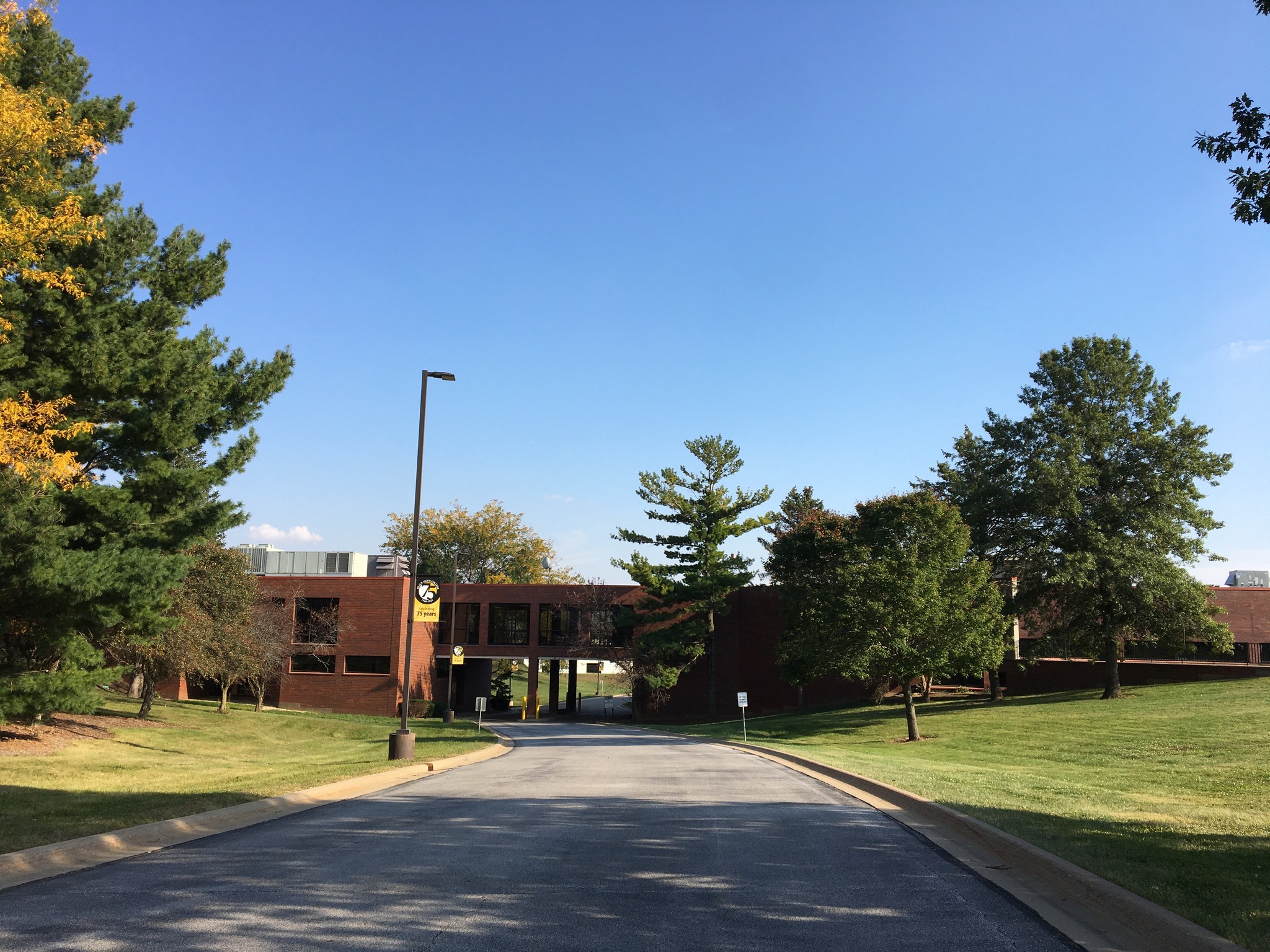 school