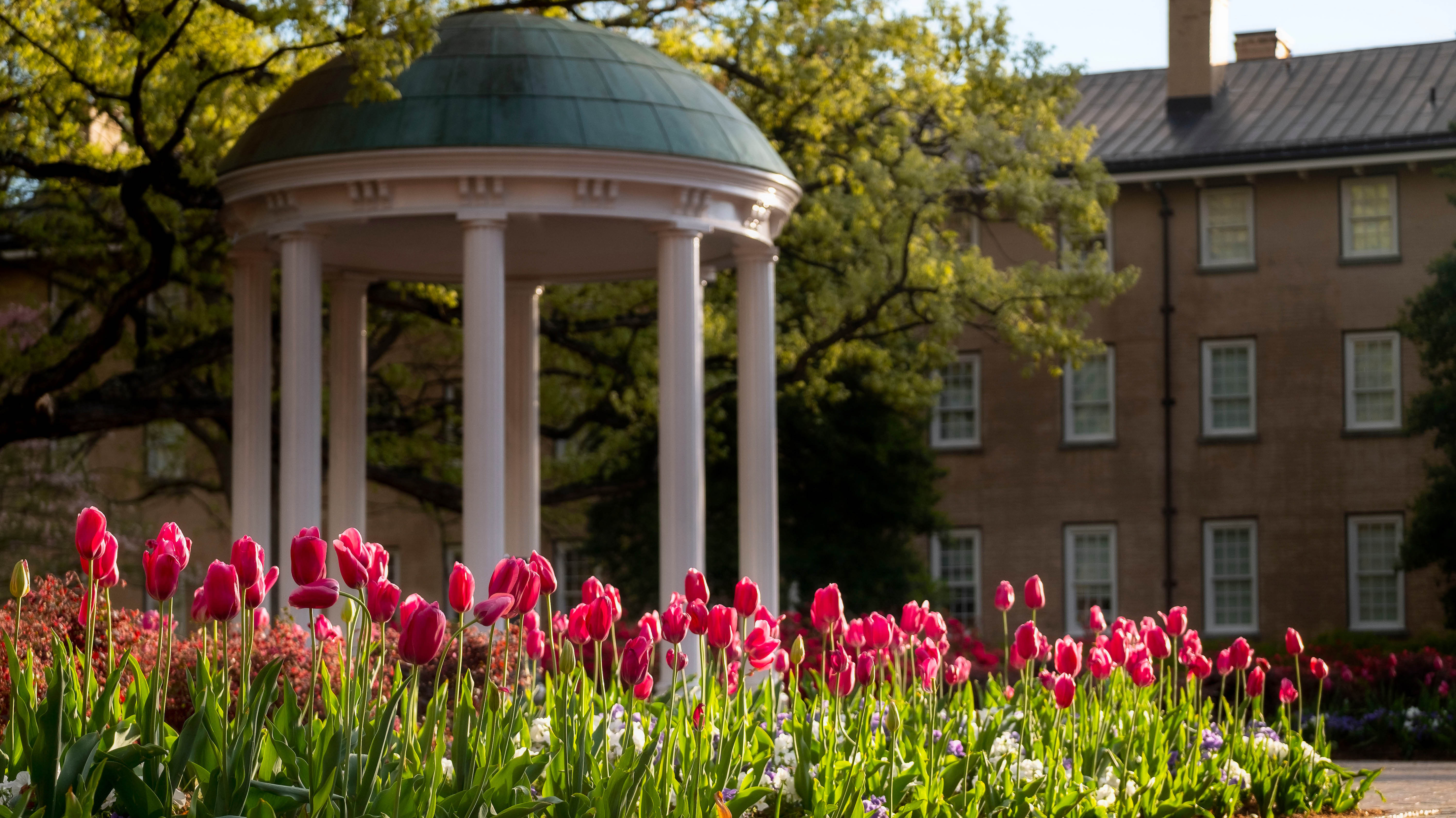 Apply to University of North Carolina at Chapel Hill
