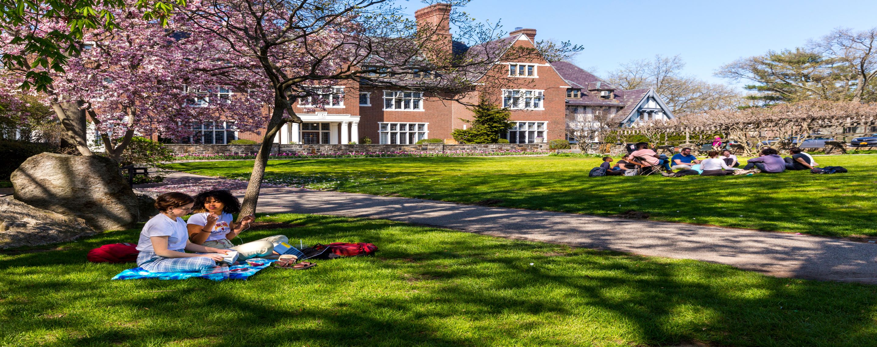 Apply To Sarah Lawrence College