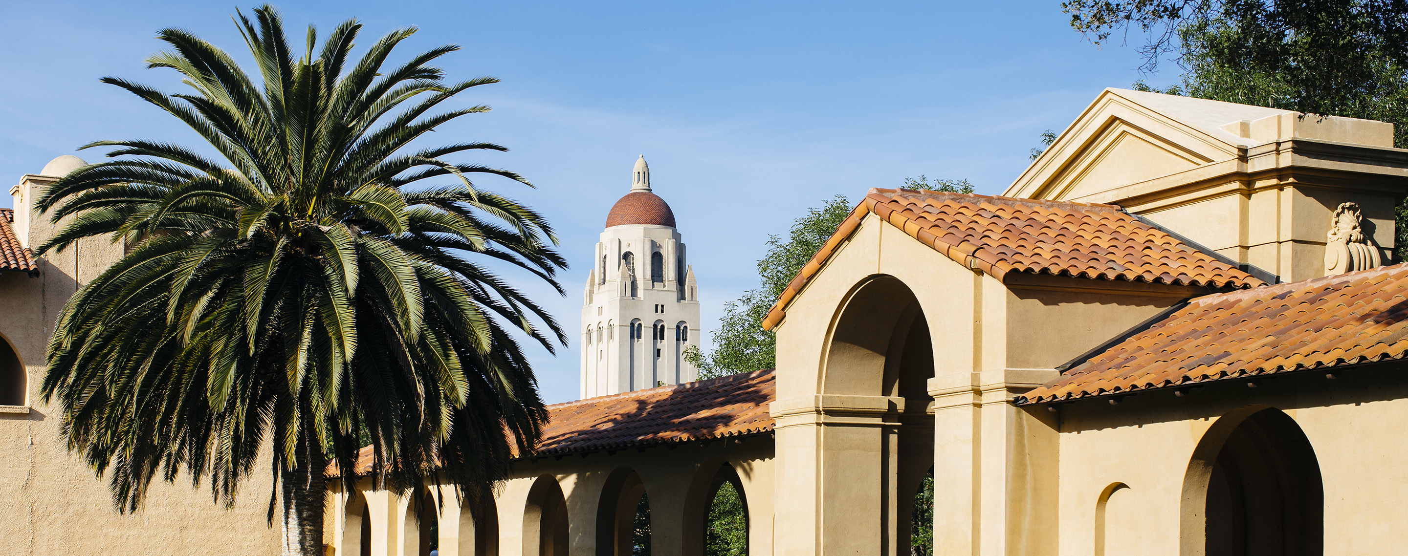 stanford dating guide