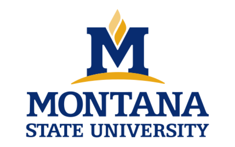 Montana State University seal.