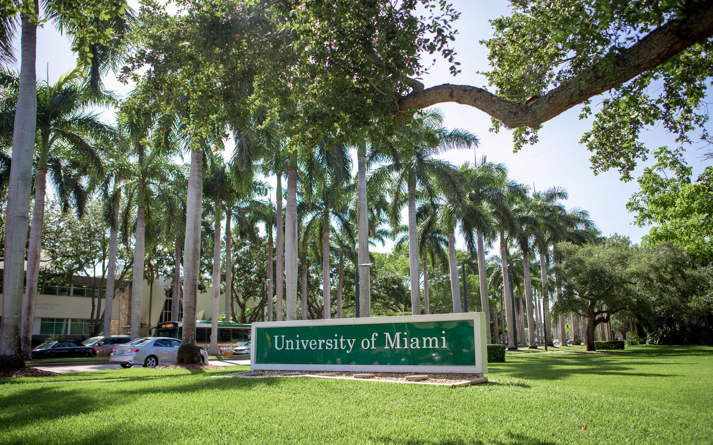 Pre-CollegeUniversity of Miami