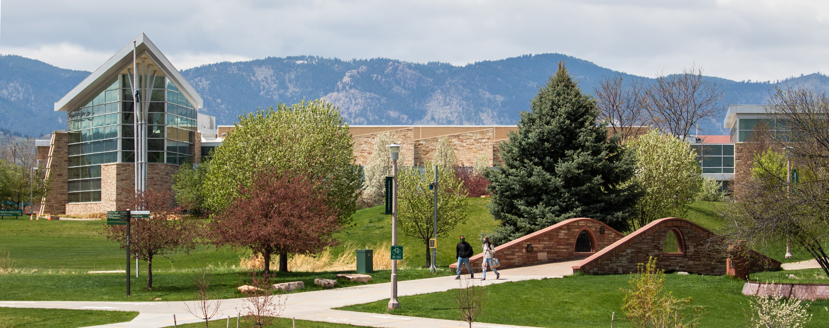 colorado state university