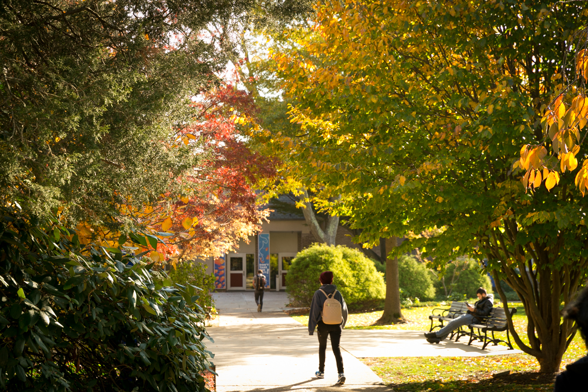 Apply to Hofstra University
