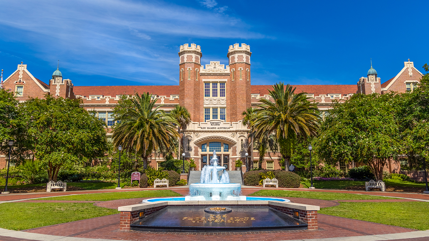 florida state university phd library science